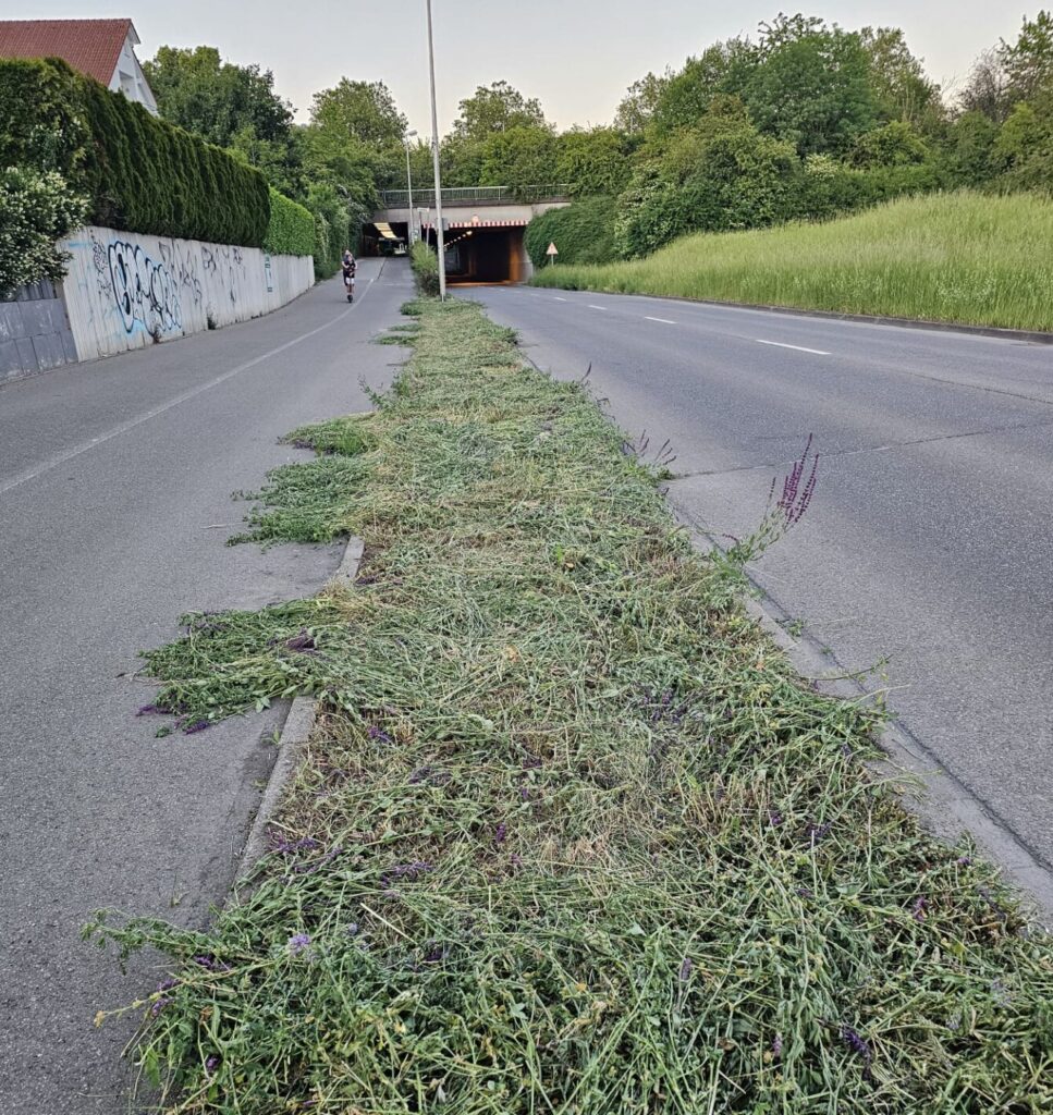 Beton- statt Blumenstadt?